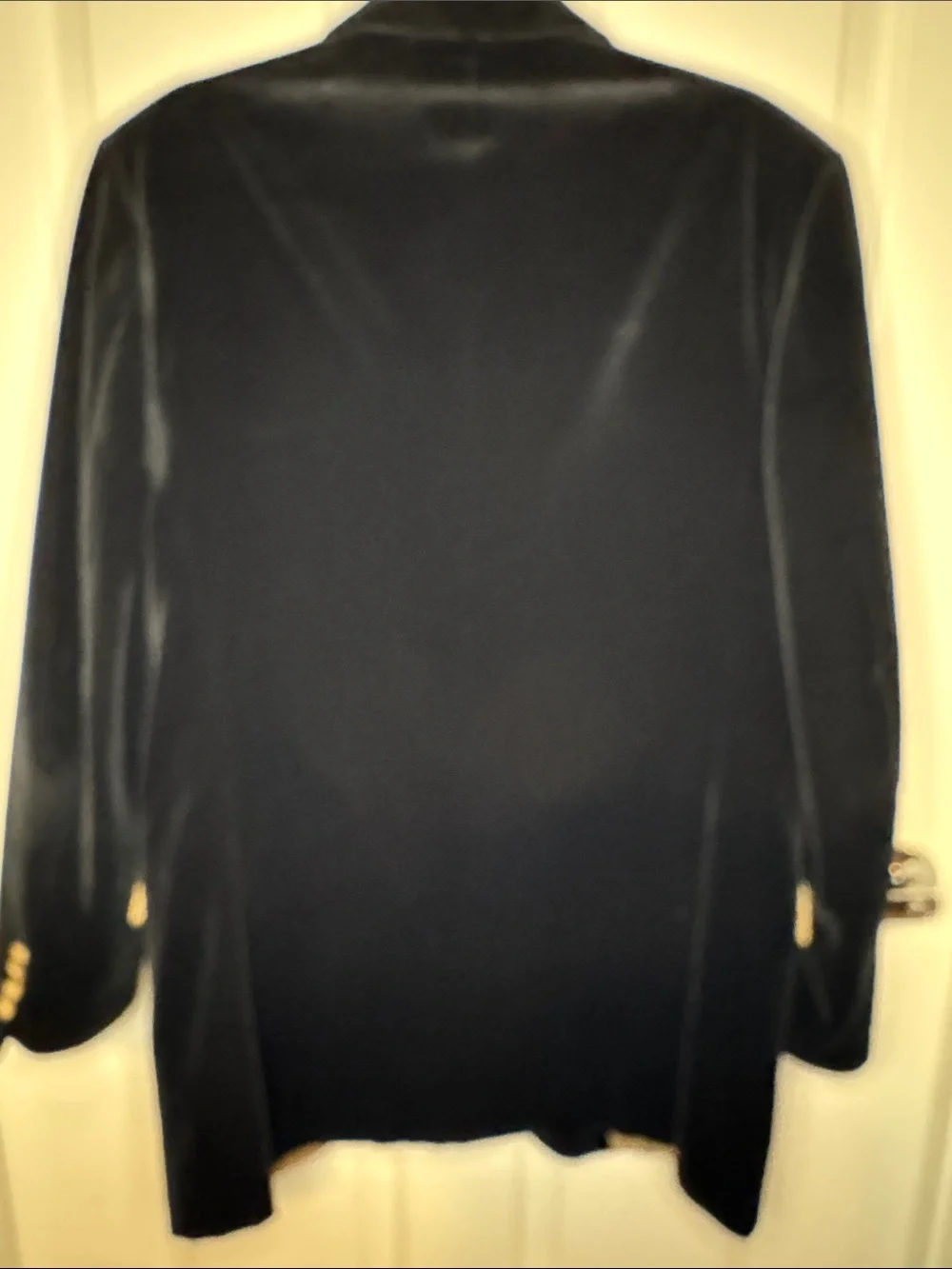 Men's Black Velvet Blazer with Gold-Lined Interior